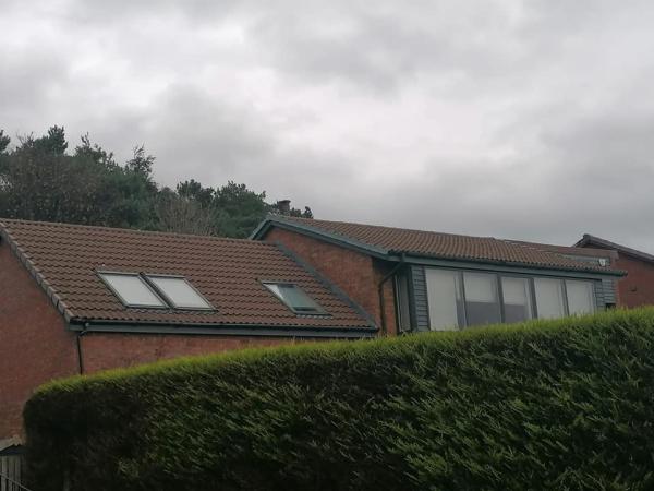 Ogilvie Roofline & Flat Roof Specialists