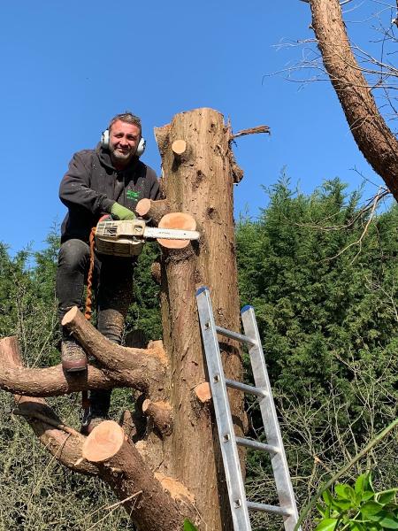 Clearview Tree Surgery