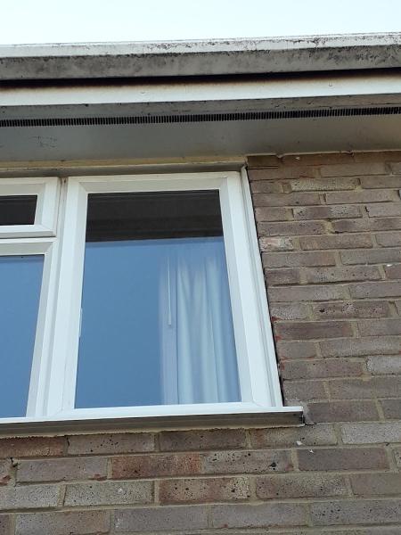 Window Cleaner in Didcot