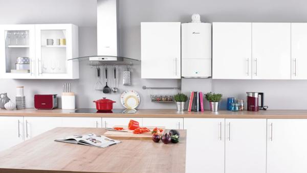 The Boiler Professionals