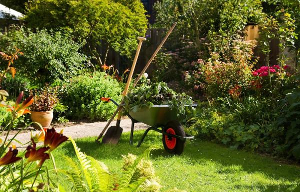 Wolds Gardening