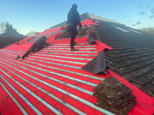 Reliance Roofing LTD