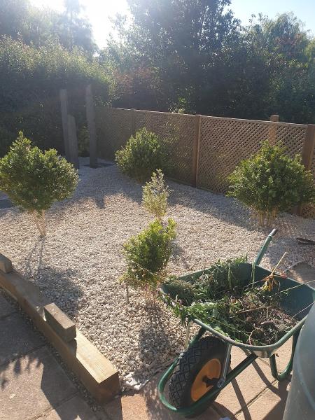 Broadfield Tree Care Ltd