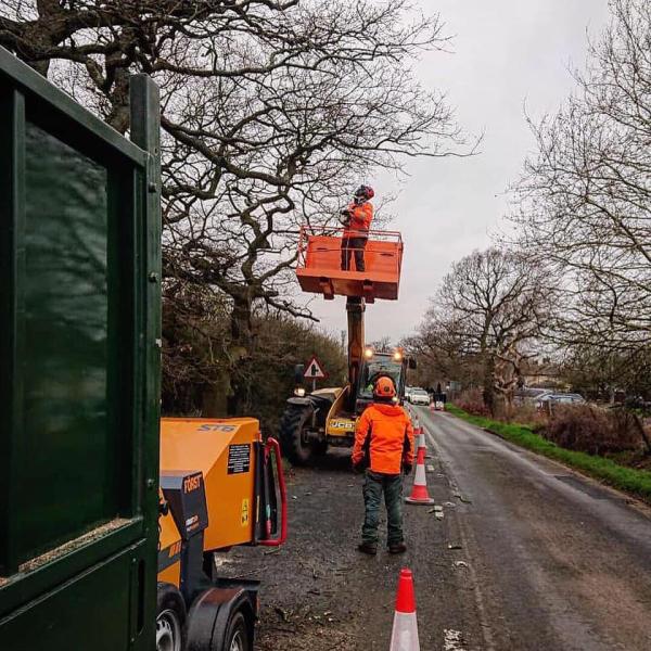 Fenland Tree Care