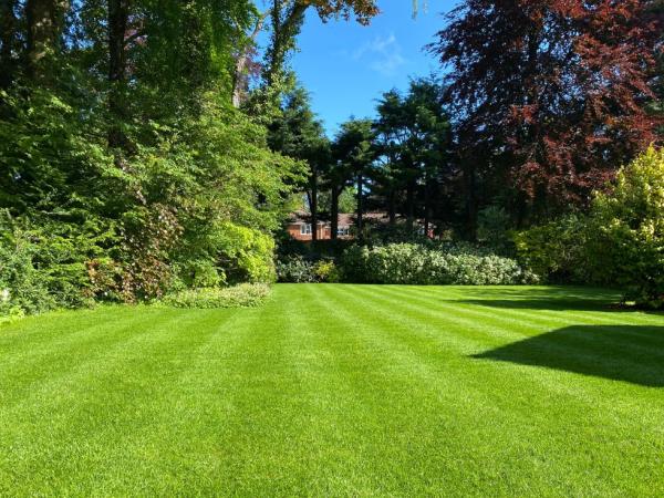 Lawntech Lawn Care Ltd