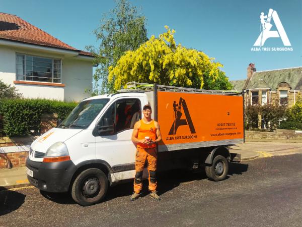 Alba Tree Surgeons