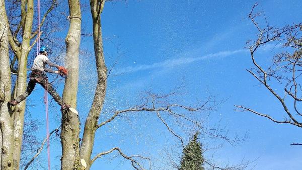 KM Treeworks