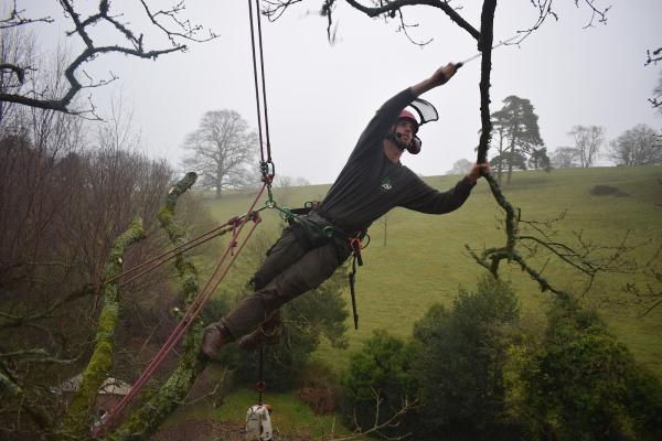 KM Treeworks