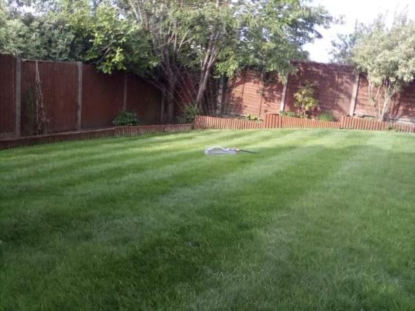 Latus Lawn Care & Maintenance