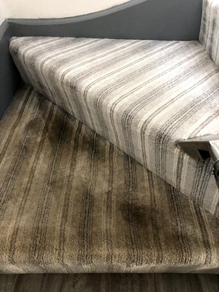 Cottons Carpet Cleaning