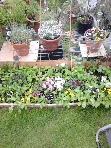 D J Skinner Property Services