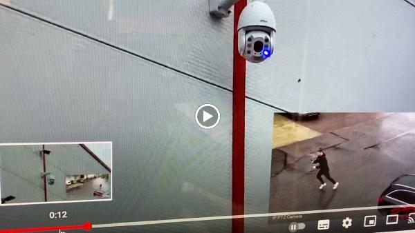 Electrical & Security Systems Specialist Ltd