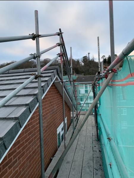 A.c.e. Roofing Co. Ltd