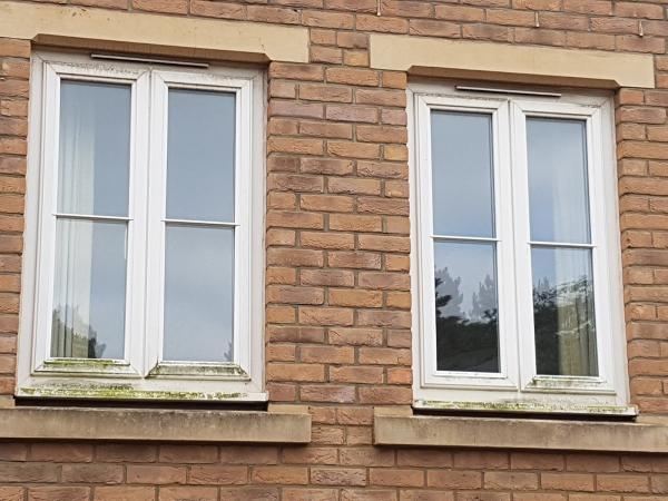 DL Clean Windows Exeter