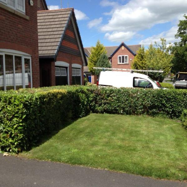 First Choice Tree Surgeons