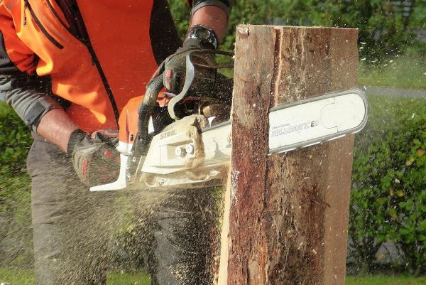 Stewartry Tree Services