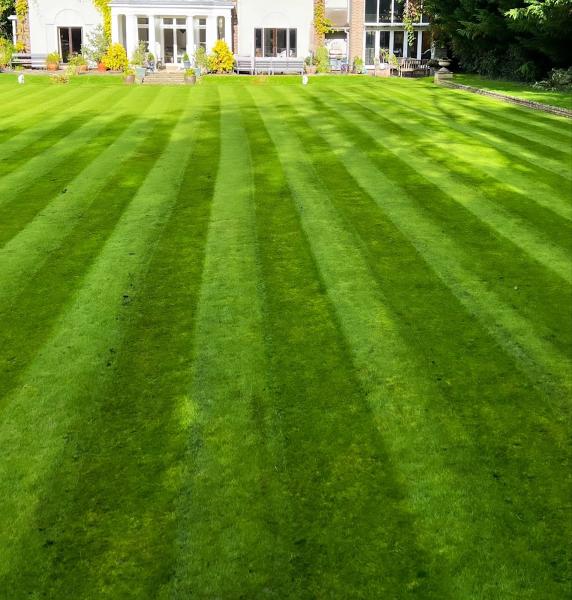 Wrights Property Maintenance