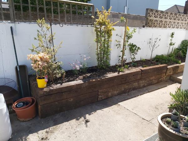 BK Gardening & Landscaping