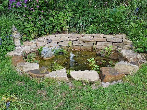 Fishlife Pond Services