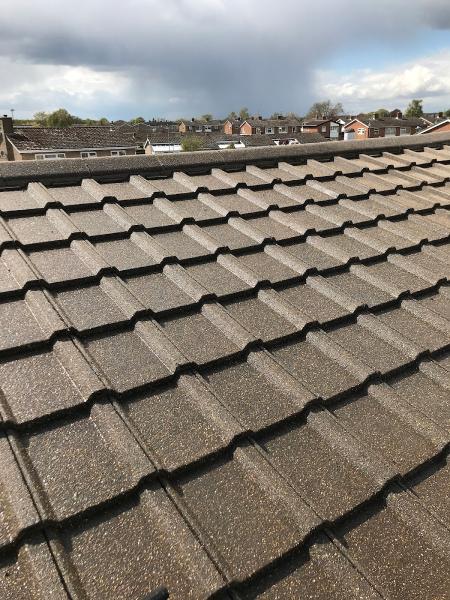 Newman Roofing Services Ltd