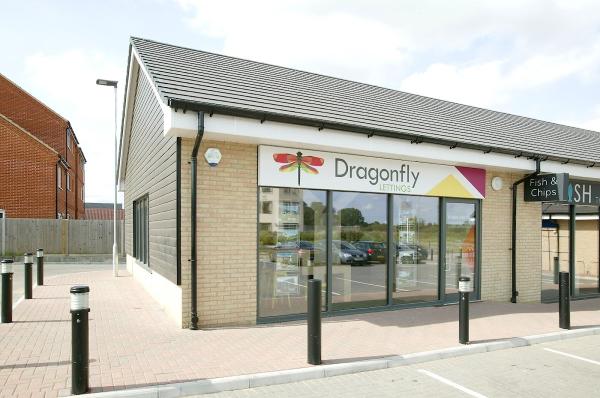 Leaders Together With Dragonfly Lettings