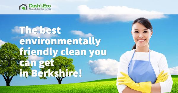 Dash & Eco Domestic Cleaning Reading