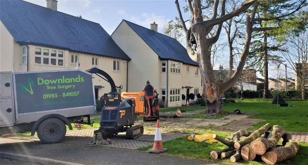 Downlands Tree Surgery Ltd