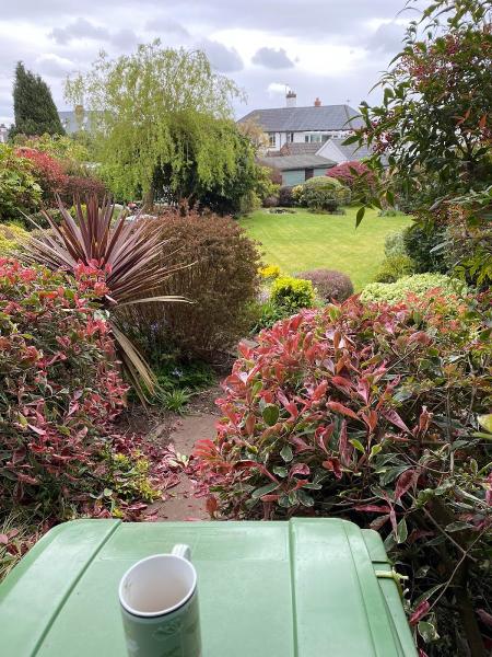 Wenallt Road Grass Cutting