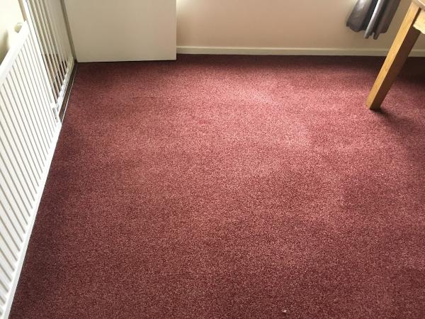 SS Carpet Cleaning Ltd
