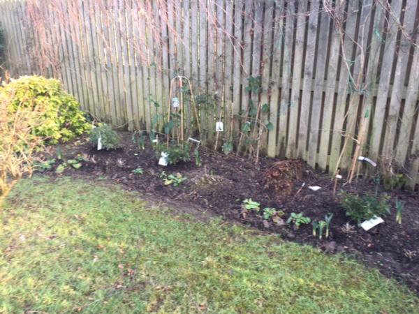 Carse Gardening Services