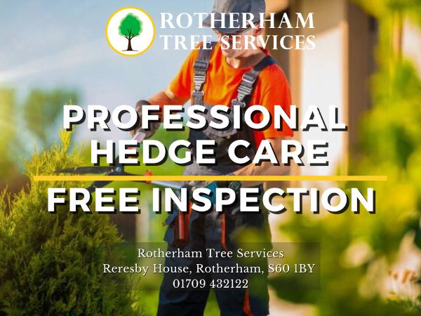 Rotherham Tree Surgeons