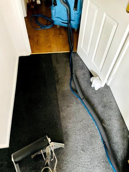 SG Carpet Cleaning Specialist