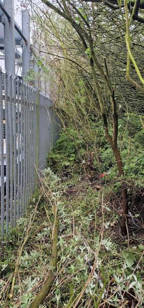 DL Grounds Maintenance