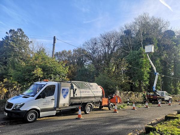 EGS Tree Surgery & Landscaping