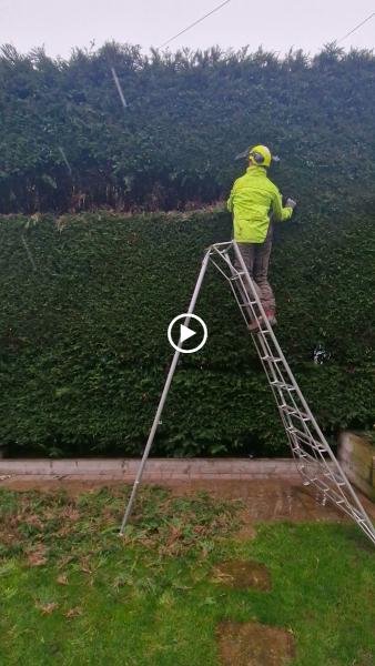 EGS Tree Surgery & Landscaping