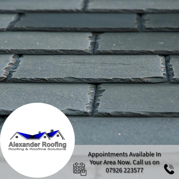 Alexander Roofing
