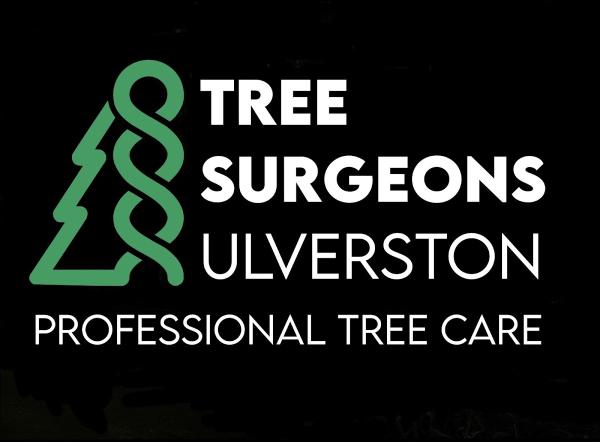 Tree Surgeons Ulverston