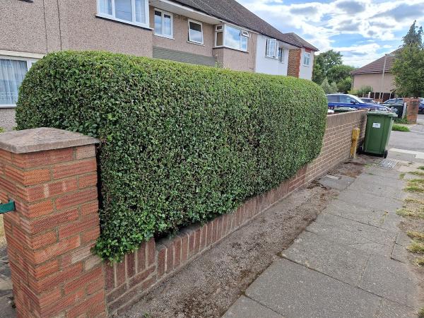 All Seasons Garden Services