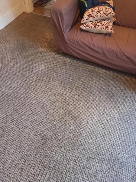 Blake's Carpet & Upholstery Cleaning