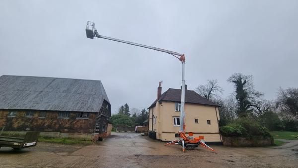 Treecology Tree Surgery