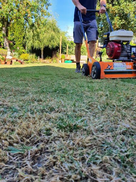 Cheltenham Lawn Care