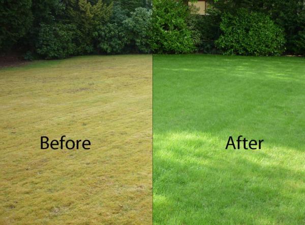 Cheltenham Lawn Care