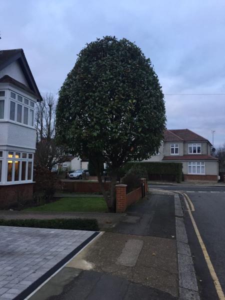 Harrow Gardening Services