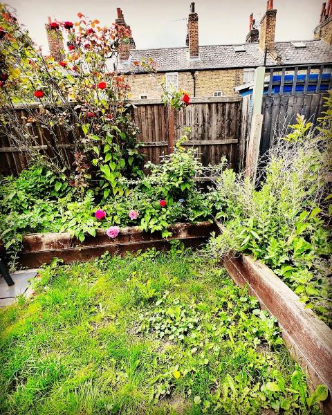 Wicked Gardens LTD