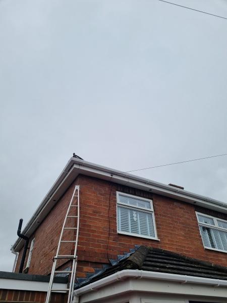 Newcastle District Cleaning (Window and Gutter Cleaning)