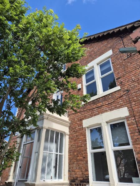 Newcastle District Cleaning (Window and Gutter Cleaning)