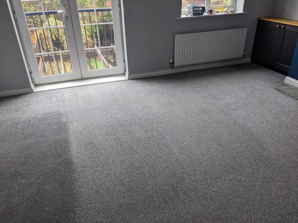 The Manchester Carpet Cleaner