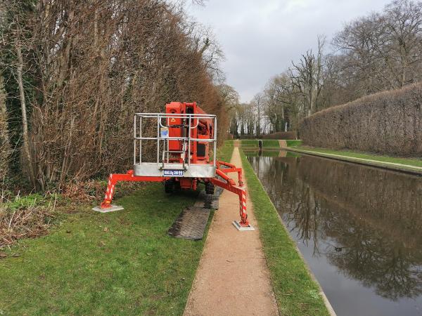 Antrim Tree Services