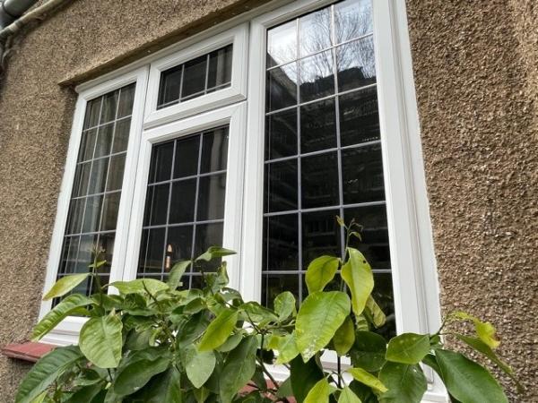 Apex Windows Ltd