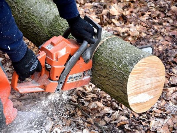 Tree Service Hull